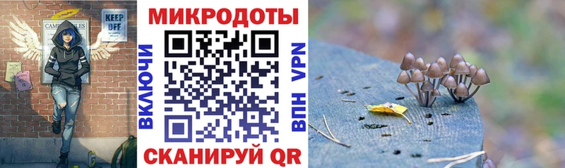 Купить где  Крымск  Галлюциногенные грибы Cubensis 